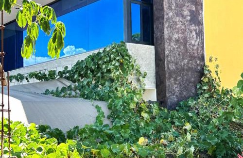 Comitan de Dominguez Apartment | Apartment & studio with city views