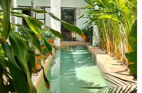 Zona Paseo Montejo House | Artist Designed Luxury Home with Pool in Centro!