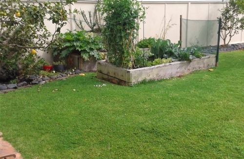 One Tree Point Apartment | Beach Studio with King size bed, a bathroom and kitchen, off street parking