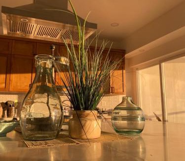 Popotla Apartment | Beachfront 4 BR Penthouse - Pool Steps to Beach & Mins to Downtown