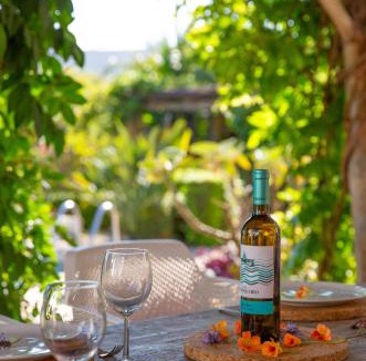 Conil de la Frontera Villa | Beachside Oasis with Pool & Garden