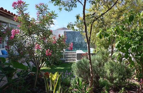 Chapala Villa | Bear House