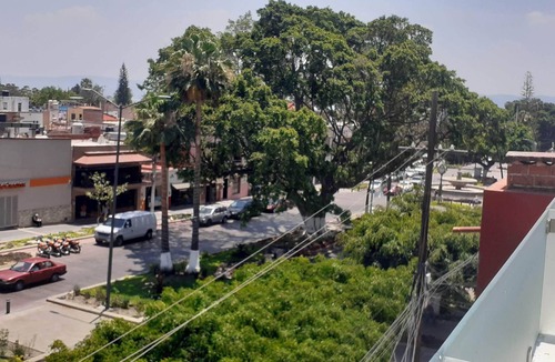 Chapala Centro Apartment | Beautiful 1 - Bed Apartment with a privated Solarium.nnnnnnnnnnnnnnnnnnn