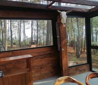 Jimenez House | Beautiful cabin in the middle of the forest