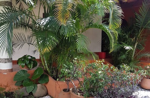 San Guillermo Cottage | Beautiful country house in the magical town of Malinalco