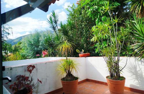 Ajijic Apartment | Beautiful Rooms at Villa La Floresta