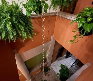 Centro Bed & Breakfast | Bed and breakfast ∙ 4 guests