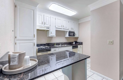 Spring Hill Hotel | Best Western Spring Hill Inn & Suites