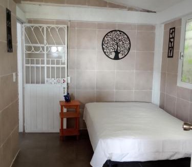 Hornos Insurgentes Apartment | Bien ubicado, cerca de todo