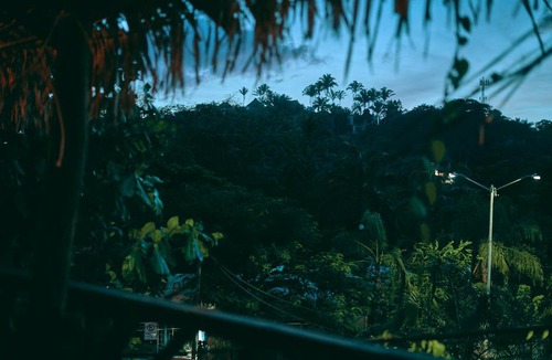 North End Hostel | Blue Pepper Beds Sayulita