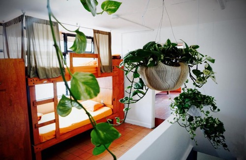 Lafayette Hostel | Blue Pepper Hostel Chapultepec