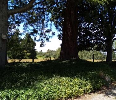 Timaru Bed & Breakfast | Blue Stone