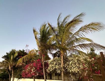 Celestino Gasca House | Bonita Casa de Campo en Celestino Gasca