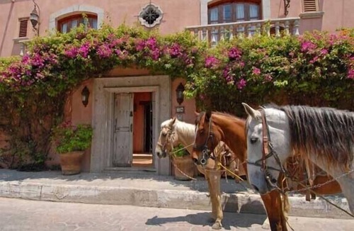 Bucerias Villa | Boutique Villa Steps to Beach!-$99/Room Per Nt Special Incl Staff, Last Minute