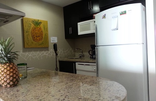 Ixtapa Condo | BVG Direct Oceanfront 5 Star! Sunsets! Inquire about Jan, Feb, Mar month stays.