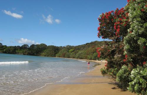 Coopers Beach Apartment | By the Bay Beachfront Apartments