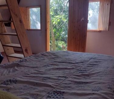 Xilitla Apartment | Cabaña Calandria
