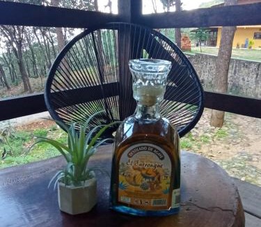 Tequila Other | CABAÑA LA MAYAHUEL