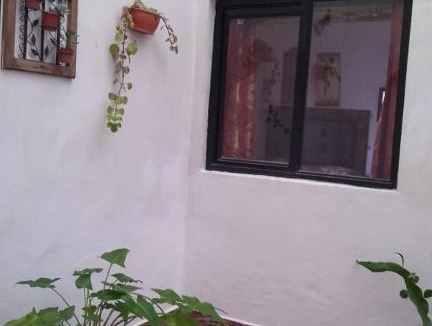 Mazamitla Cabin | Cabaña Tierra Morena