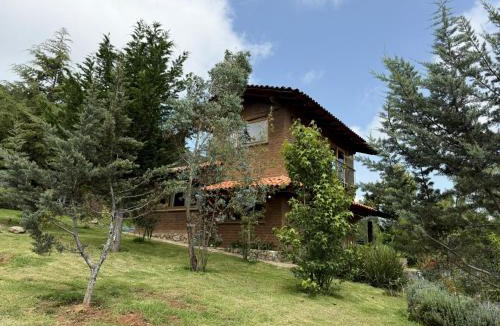 Tapalpa Ski Chalet | Cabaña Tigre Tapalpa