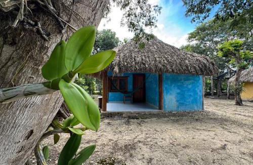 Conhuas Cabin | Cabañas Calakmul