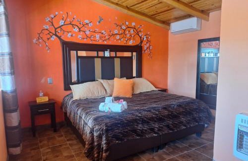 Areponapuchi Hotel | Cabañas Darely