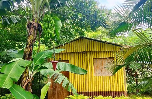 Catemaco House | Cabañas Ixaya