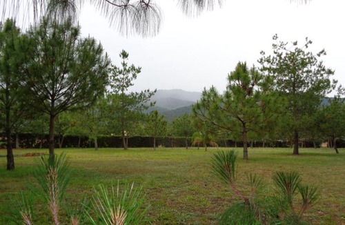 Mazamitla Cabin | Cabañas Paseo Del Llano 2