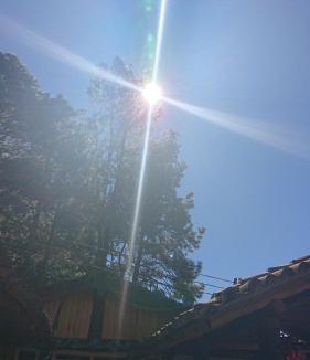Tapalpa Ski Chalet | Cabañas Tapalpa Sierra del Tecuan, Cabaña Lince