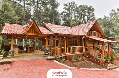 Acaxochitlan Apartment | Cabin at the Woods l Pet Friendly