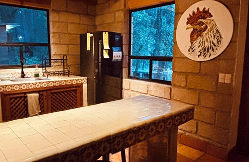 Amealco Cabin | Cabin immersed in 1 hectare of forest. Maximum Internet power (Starlink)