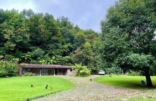 Xico House | Cabin in a magical place. (Citlalapa)