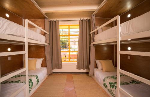 De La Presa House | Cactus Hostel & Suites