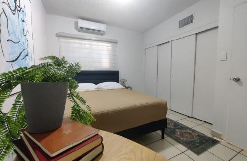 Juarez Municipality Apartment | Calido Depa, renovado, tranquilo y céntrico