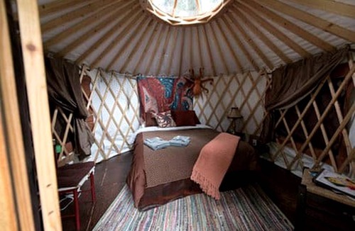 Bear Creek Other | Camping ∙ 1 bedroom ∙ 2 guests