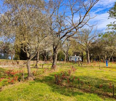 Volterra Other | Camping Volterra