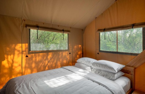 Allende Other | Campizo Glamping - Monterrey X NANTLI LIVING