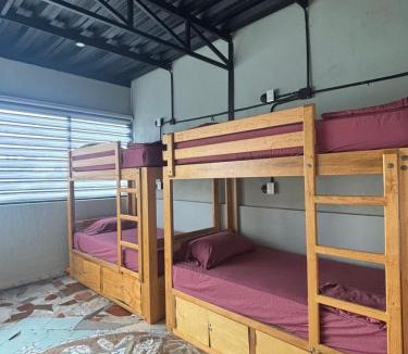 Colonia 5 de Diciembre Hostel | Canova Hostel & Pizza