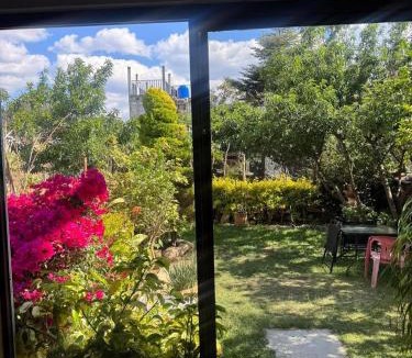 De Guadalupe House | Casa 79 sancris