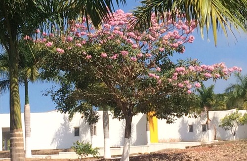 Santa Cruz House | Casa #9, Common Pool, Sleeps 6