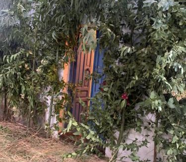 El Gastor House | Casa Alondra