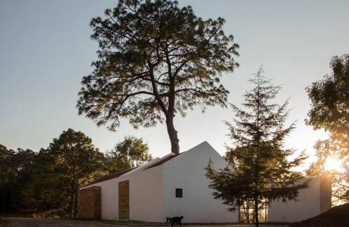 Mazamitla House | Casa Alrededor de un Pino