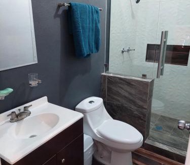 Ciudad Guzman Apartment | Casa Camichines