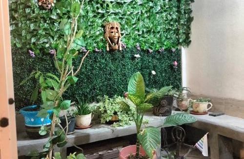 Mineral de la Reforma House | Casa Cualli
