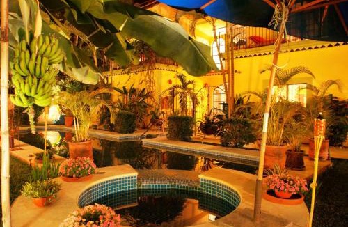 El Tuito House | Casa de Hospedaje Jardin del Tuito