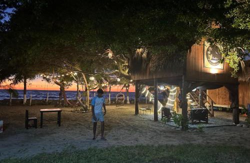 Saladita House | Casa del Árbol Barra la Saladita