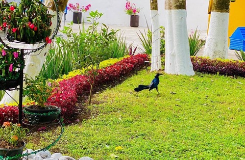 Xicotepec Apartment | CASA DON BENI (A PET-FRIENDLY SPACE IN THE HEART OF XICOTEPEC)