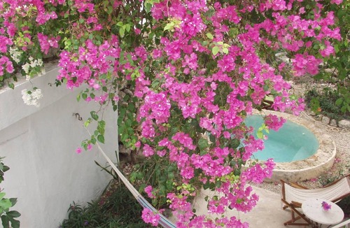 Barrio de Santiago House | Casa Flora, Peaceful Oasis in el Centro