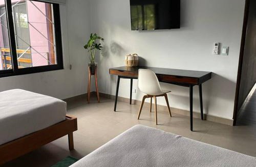 Todos Santos House | Casa Kamila en el centro de Todos Santos