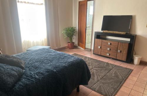 Zona Minerva House | Casa La Minerva